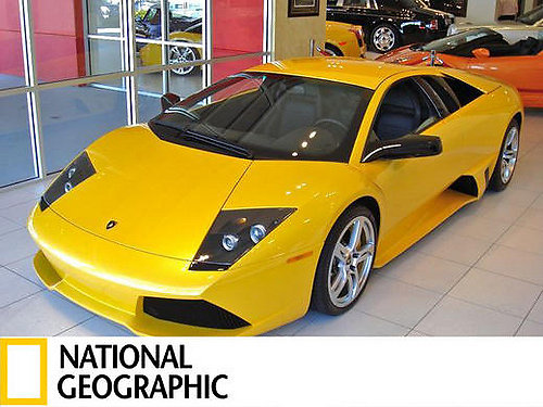 Lamborghini-.jpg